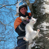 Альпинисты спасают кота
