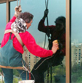 Промышленные альпинисты осуществляют высотную мойку стекол