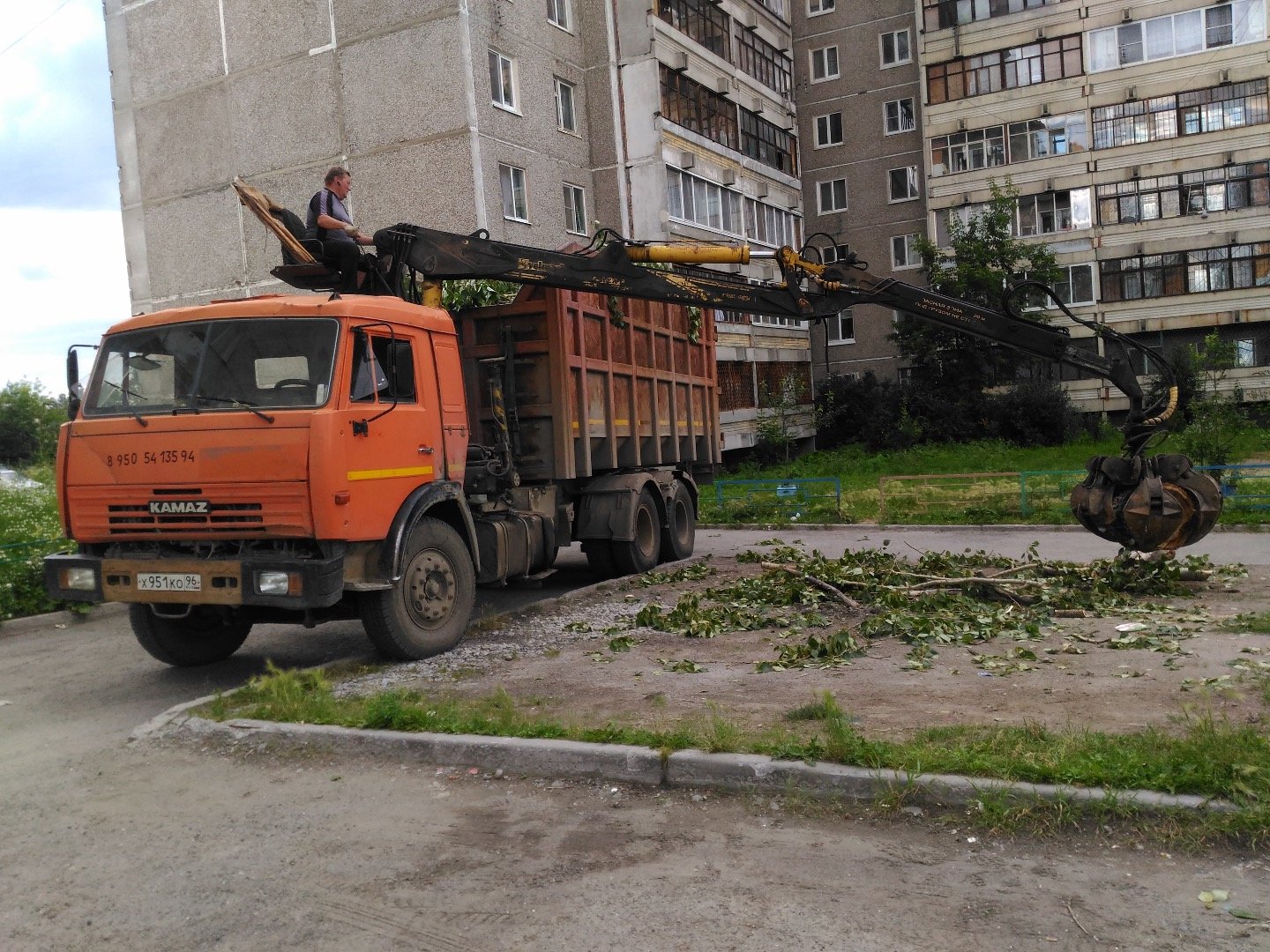 Вывозка веток с. Вывоз спиленных деревьев. Вывоз деревьев. Перевозка леса. Вывоз спиленных деревьев.