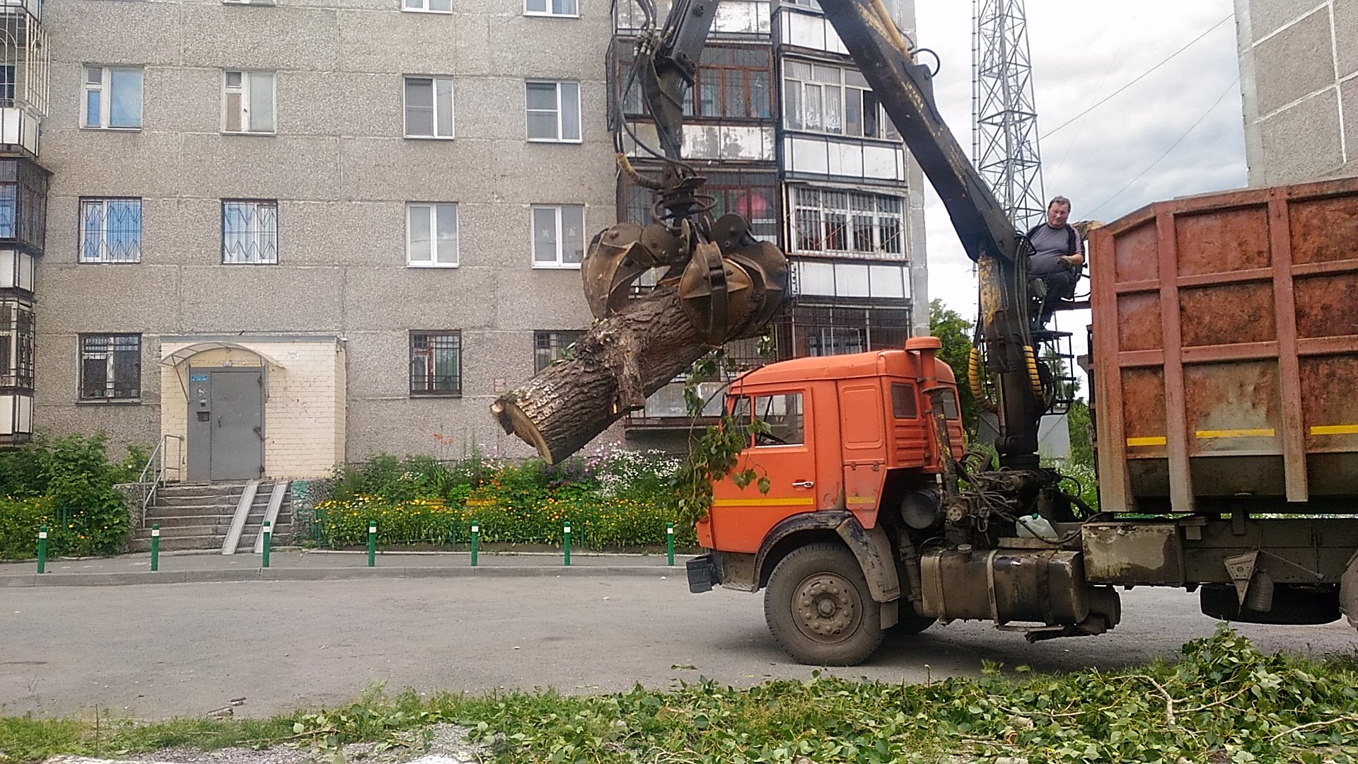 Фура с бревнами. Вывоз спиленных деревьев с участка. Вывоз деревьев. Вывезены срубленные деревья. Машина для вывоза деревьев с.
