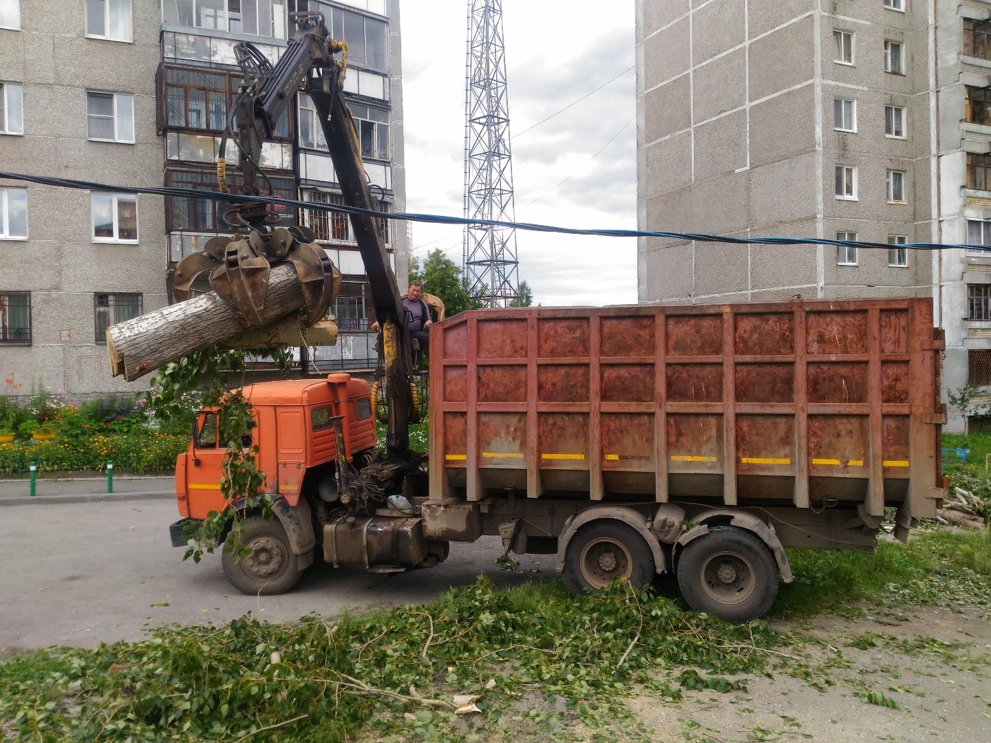 Вывоз мусора дерево. Вывоз деревьев. Вывоз деревьев. Вывоз мусора веток. Контрабанда древесины.
