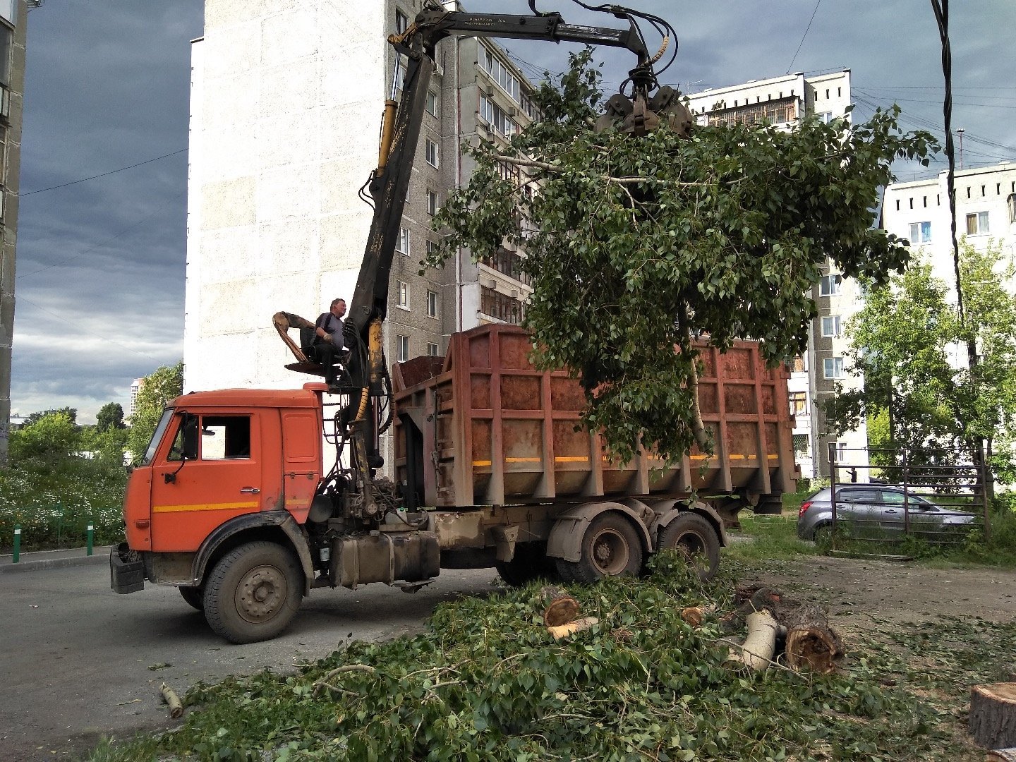 Вывоз спиленных деревьев. Вывоз порубочных остатков. Перевозка древесины. Вывоз порубочных остатков. Вывоз спиленных деревьев.