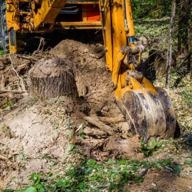 выкорчевывание корней деревьев трактором