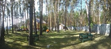 санитарная рубка леса свердловская область
