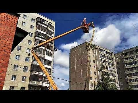 Кронирование дерева с автовышки в Екатеринбурге