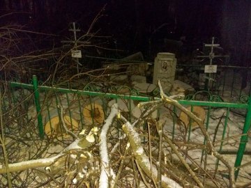 спил деревьев на кладбище