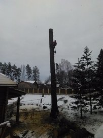 екатеринбург удаление высоких деревьев