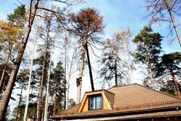 удаление деревьев екатеринбург