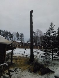 убрать старые деревья в екатеринбург