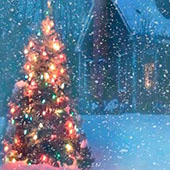 Украшение дачи Новый год включает елки и украшение придомовой территории